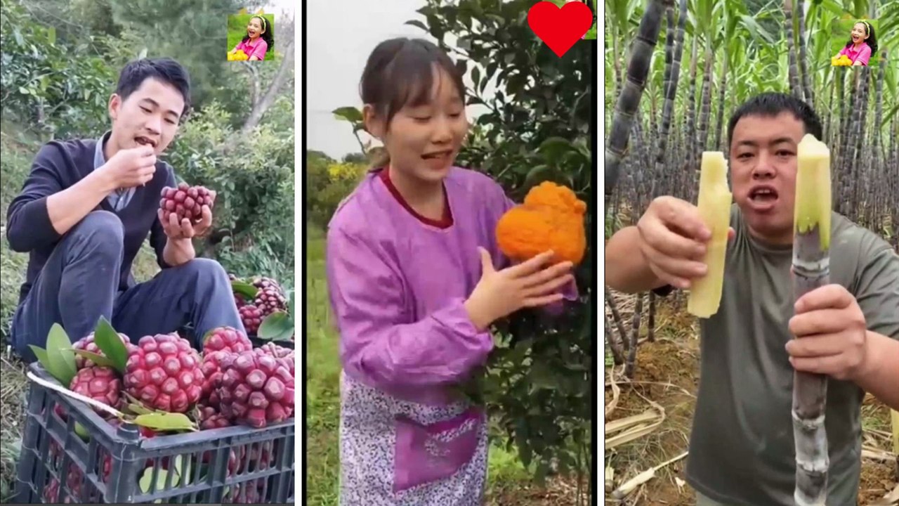 New delicious fruit | Indian fruit | trending fruit | love