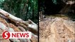 Sungai Lawin turns murky, residents claim unaware of approved logging project