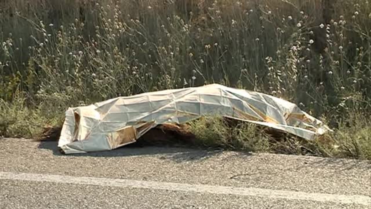 1 de cada 4 fallecidos este año en accidentes era motorista