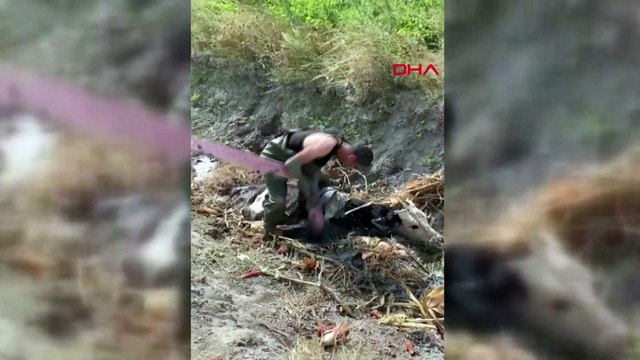 Çamura saplanan ineği itfaiye çıkardı