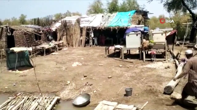 Pakistan'daki sel felaketinde can kaybı giderek artıyor