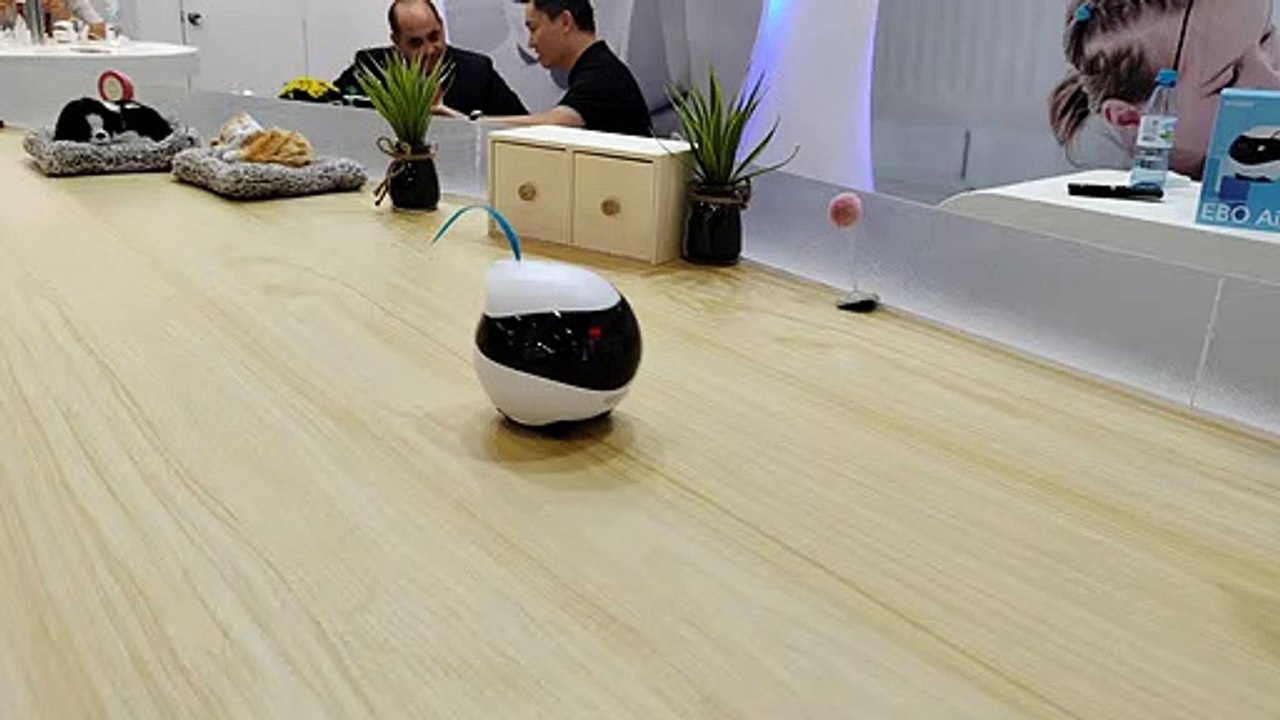 Enobot EBO Air: así es el robot compañero de las mascotas con IA y ...