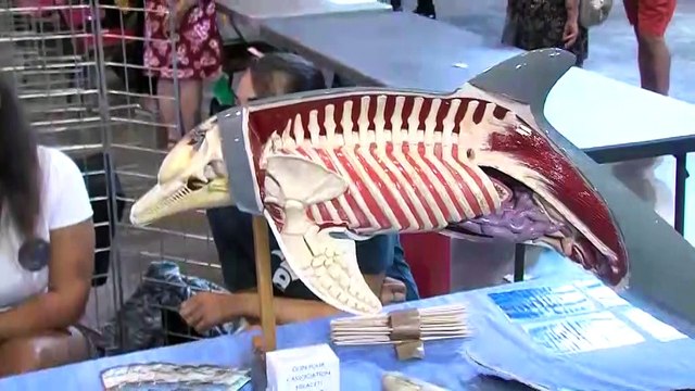 Forum des associations à Martigues : une rentrée primordi'Halle