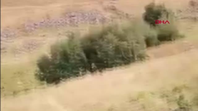 SÜRÜSÜNE DADANAN AYIYI GÖRÜNTÜLEDİ, 'YOLU ŞAŞIRMIŞSIN KANKA' DİYE BAĞIRDI