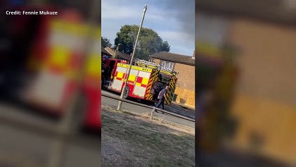 Sheds destroyed in Ashford fire