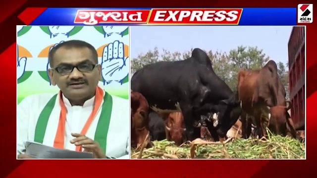 પાનમ ડેમમાંથી કેનાલમાં છોડાયું પાણી | અમરેલીમાં કર્મચારીઓએ કાઢી રેલી