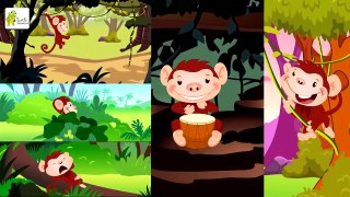 Five Little Monkeys and the Alligator | Swinging in a Tree | Five Monkeys Rhyme