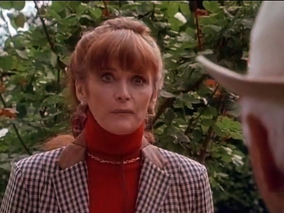 Black, der schwarze Blitz Staffel 5 Folge 14 HD Deutsch