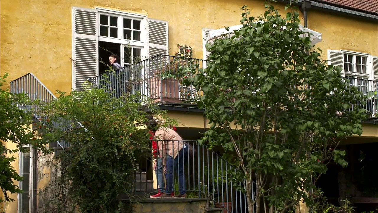 Fluch des Falken Staffel 3 Folge 38 HD Deutsch