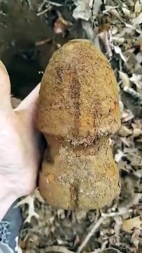 Nettoyage d'un vieil obus d'artillerie - Buzz Buddy