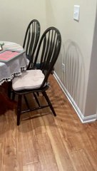 Un chien saute en essayant de trouver son petit ami pendant une cache-cache - Buzz Buddy