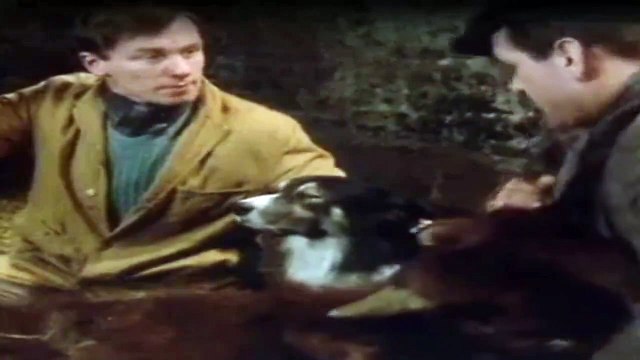 Der Doktor Und Das Liebe Vieh Staffel 3 Folge 13 - Part 01 HD Deutsch