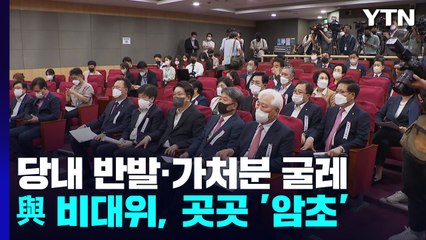 당내 반발·가처분 굴레...與 비대위, 곳곳 '암초' / YTN