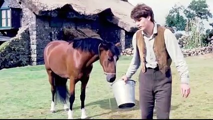 War Horse ┃ حصان قوى وعنيد بياخدوه فى الجيش وبيحارب مع الجنود ويحاول يرجع لصاحبه  ملخص فيلم