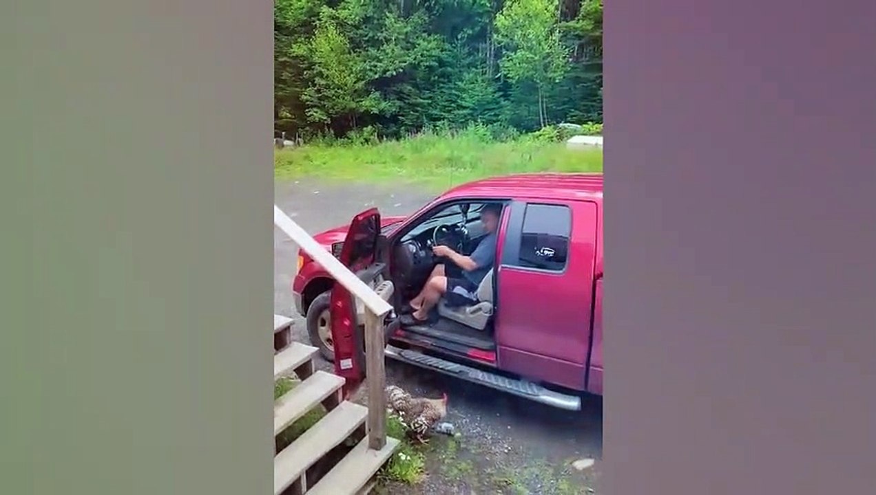 Ozzy Man Reviews Bloke vs Rooster