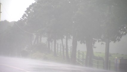 [날씨] 초강력 태풍 '힌남노' 북상 중...내일부터 전국 영향 / YTN