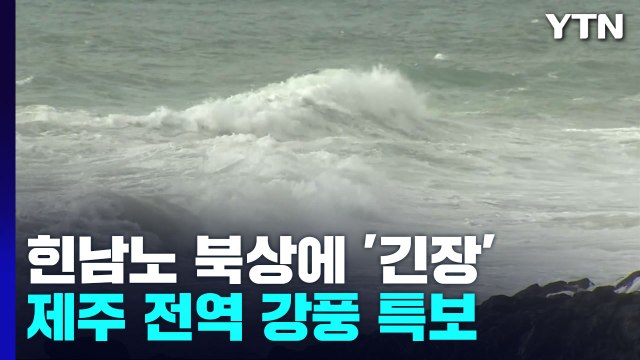 [날씨] 제11호 태풍 '힌남노' 북상에 제주 긴장 / YTN
