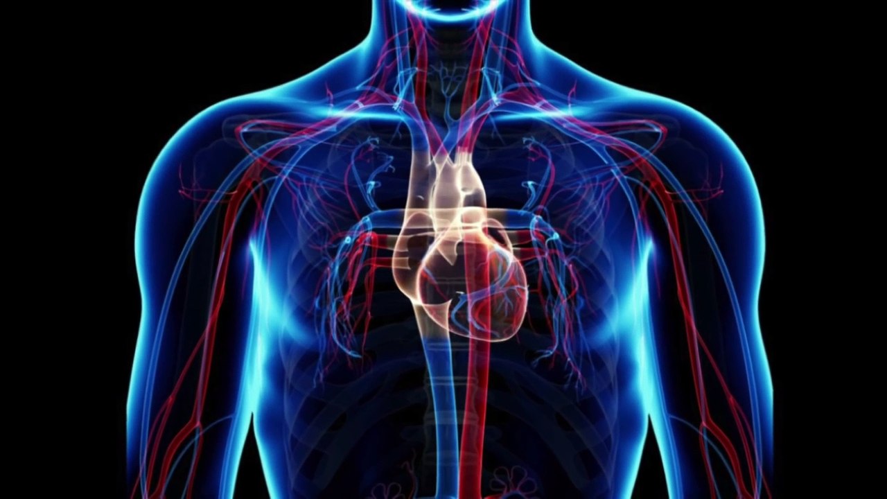 5 Simple Things to Reverse Erectile Dysfunction (ED)-Dr Burg