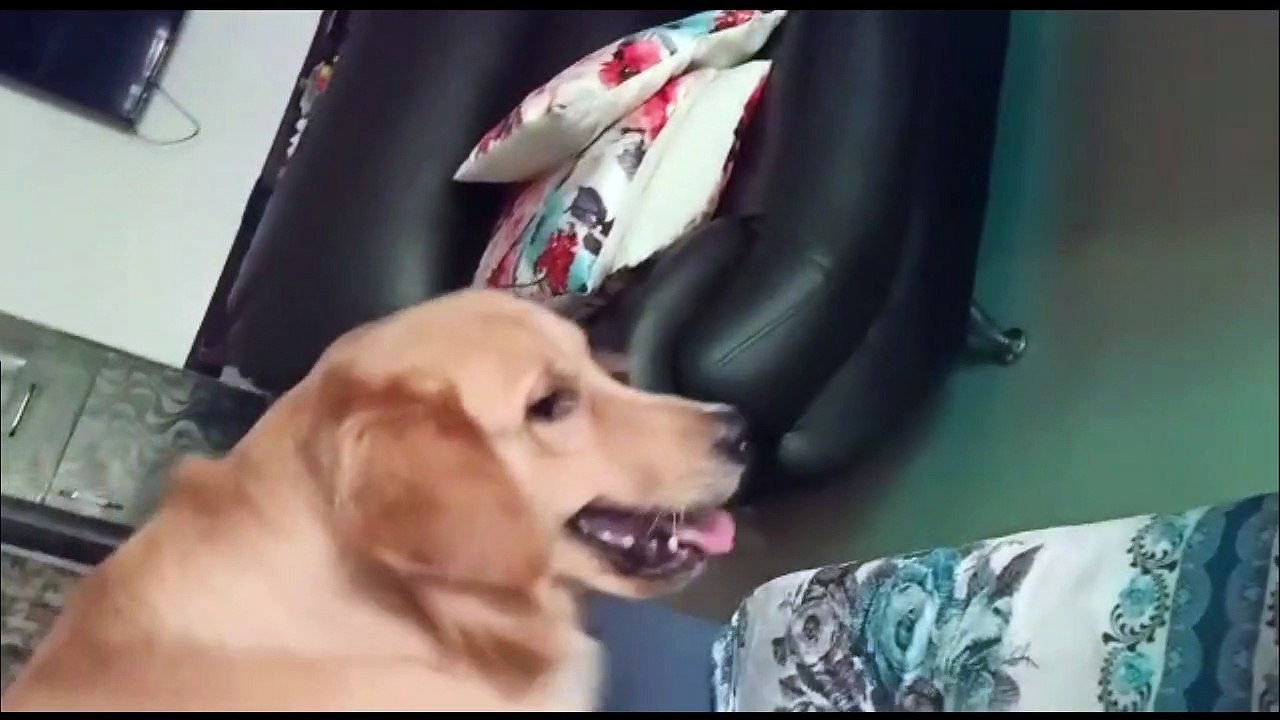 Arlo is hungry