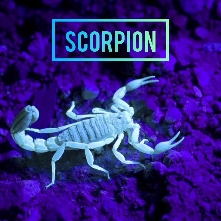 10 Amazing Facts|most common password | 10 Uniqe Facts In Hindi | Interesting Facts| #facts#amazingfacts #interesting