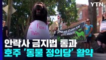 호주, 유기 동물 안락사 금지법 통과...'동물정의당'의 활약 / YTN