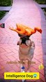 Wow Very Amazing Dog Video _ Worlds Best Legend Dog Animals _ Animals Funny Videos #shorts #animals
