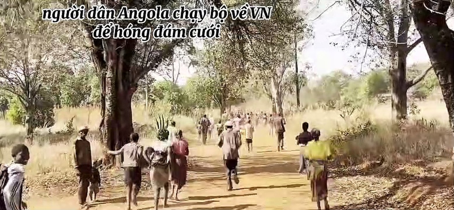 Clip: Fan làm clip đám cưới cho Quang Linh - Thùy Tiên