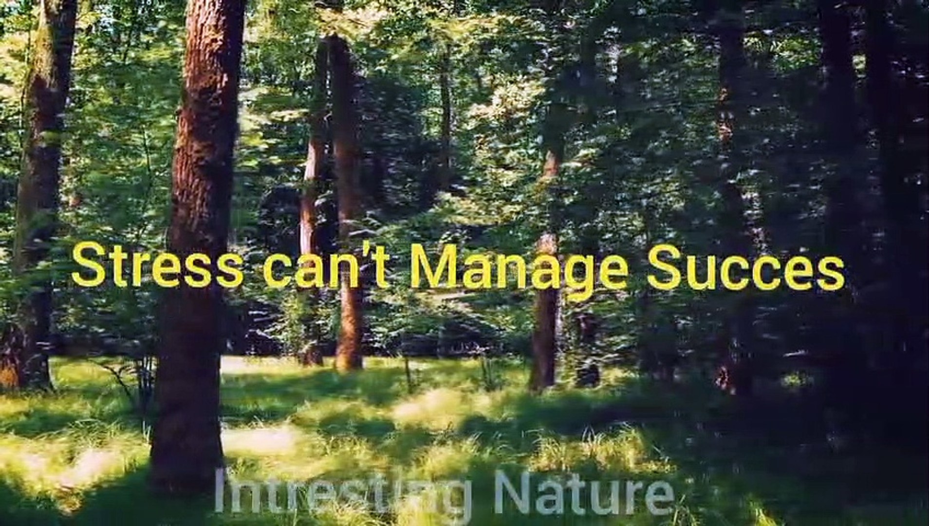 ⁣Best motivational quotes. Motivational video. Nature song. Success Stories. Motivational quote. Moti