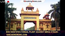 BHU identifies fungal plant against MRSA strain - 1breakingnews.com