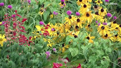 Julgamento do atentado de Nice. Vítimas procuram respostas