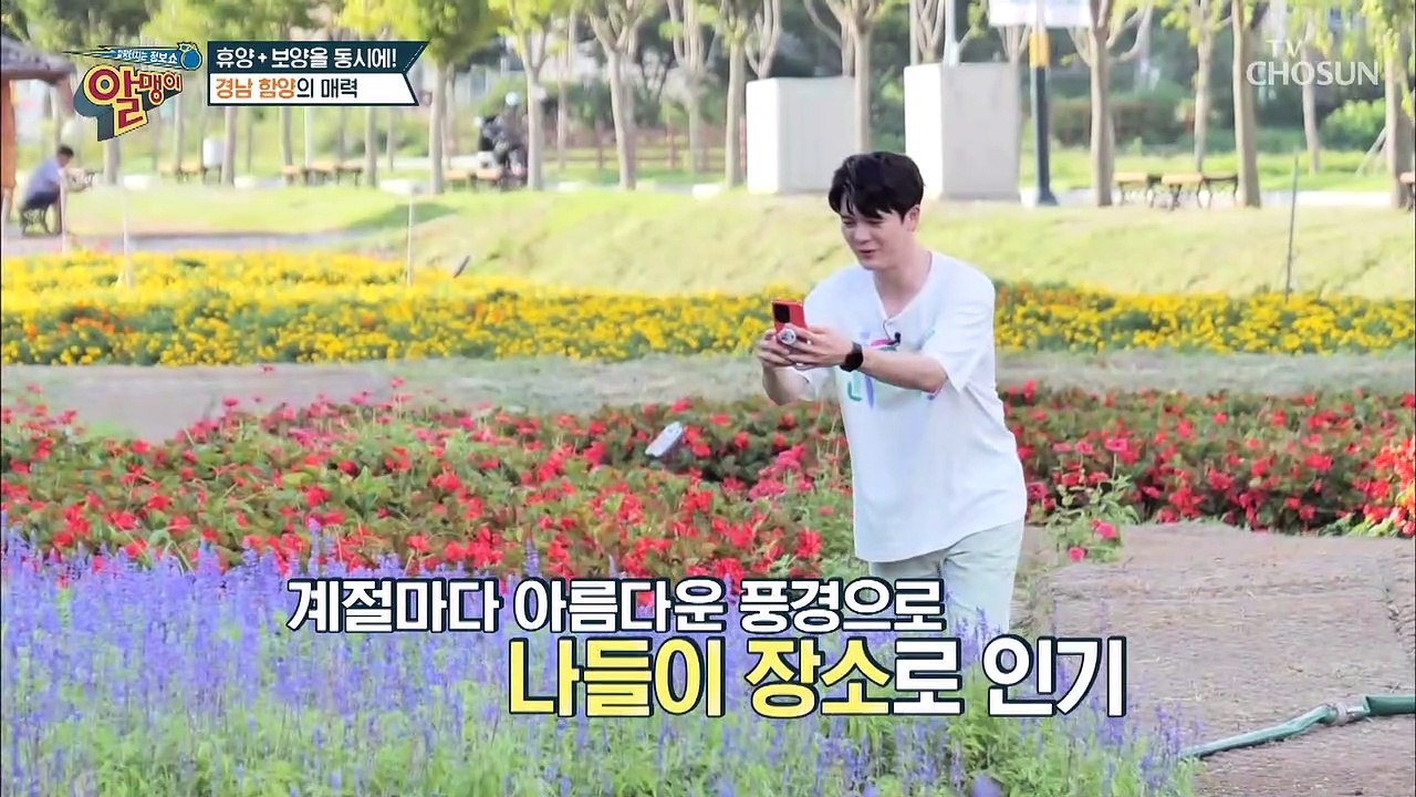 건강과 자연 한 번에 챙기는 함양의 다채로운 매력(feat.함양산삼축제) TV CHO...