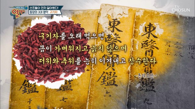 발효로 흡수율 높인 뇌혈관 지킴이 『홍국균 발효 구기자』 TV CHOSUN 20220904 방송