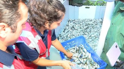 Marmara Denizi’nde avlanan balıkçılar denetlendi