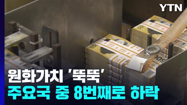 원화 가치, 31개국 중 8번째로 하락... 고환율, 내년 상반기까지 지속 / YTN