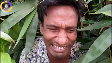 আহা কি শান্তি। বড়ো আরাম পালাম। রহিম দেওয়ান । mr hd media।