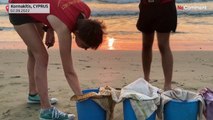 300 tortugas bobas y verdes recién nacidas son soltadas en una playa de Chipre