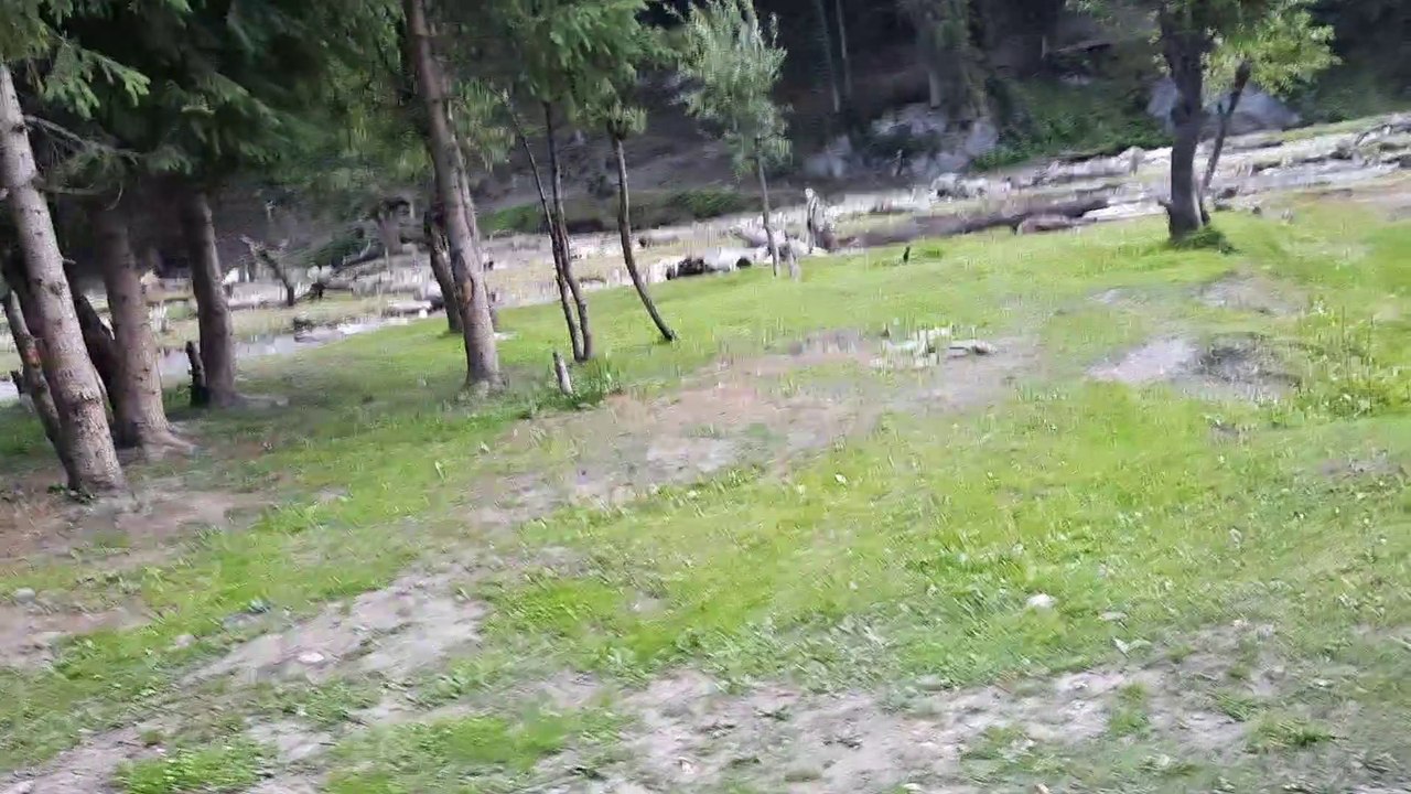 Tao Butt Bala - The Jewel in Crown of Neelum Valley, Kashmir
