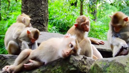 Brady so exhausted but Libby doesn't care about him!#64