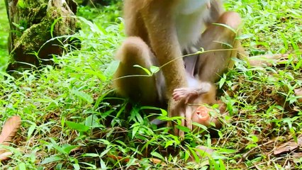 What's wrong with Rainbow? Rainbow look so sad & exhausted!#66