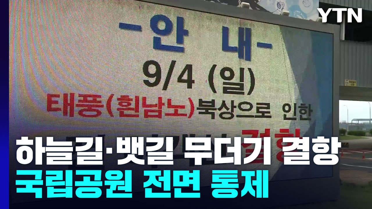 하늘길·뱃길 무더기 결항...국립공원 전면 통제 / YTN