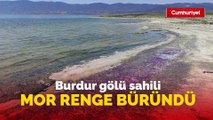 Burdur gölü sahili mor renge büründü