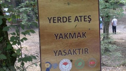ORMANLARA GİRİŞ YASAĞI KALKTI; İLK İŞ MANGAL YAKTILAR
