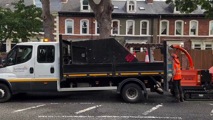 Part of Tunstall Road closed due to fallen tree