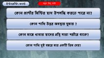 কোন প্রাণীর মিষ্টির স্বাদ উপলব্ধি করতে পারে না