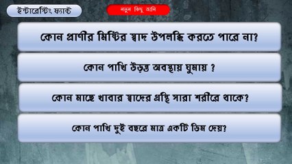কোন প্রাণীর মিষ্টির স্বাদ উপলব্ধি করতে পারে না