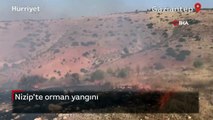 Nizip'te orman yangını