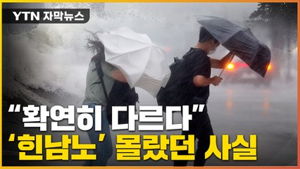 [자막뉴스] "확연히 다르다"...부산·울산이 더 위험한 이유 / YTN