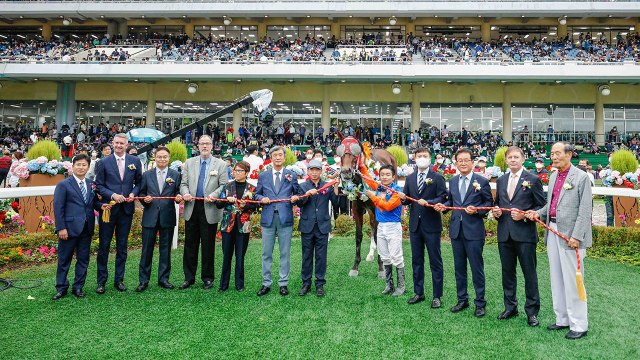 국내 경주마, 3년 만에 열린 '코리아컵' '코리아스프린트' 우승 / YTN