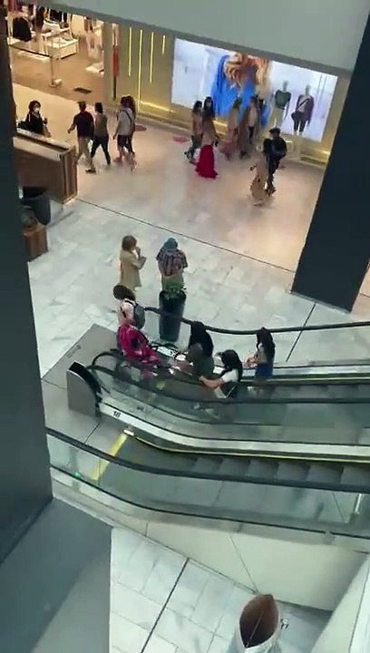 Un papy et une mamie volent une plante dans le...