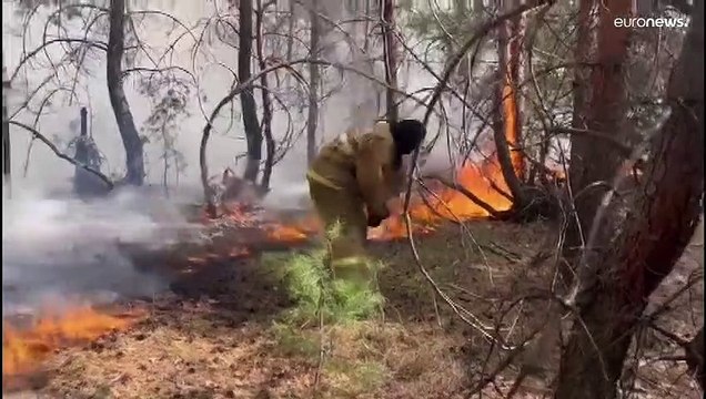Режим ЧС местного масштаба на севере Казахастана из-за пожаров